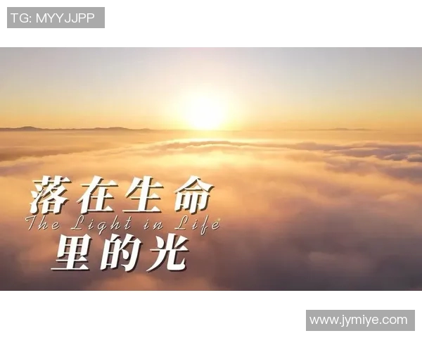 追光之旅：在光影交错中寻找生命的真谛与希望